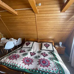 https://apartamenty-willa-anna.zakopanehotels.org